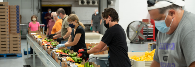 志愿人员准备一箱箱蔬菜和水果，分发给加拿大饥民. (图片来源:加拿大食品银行)